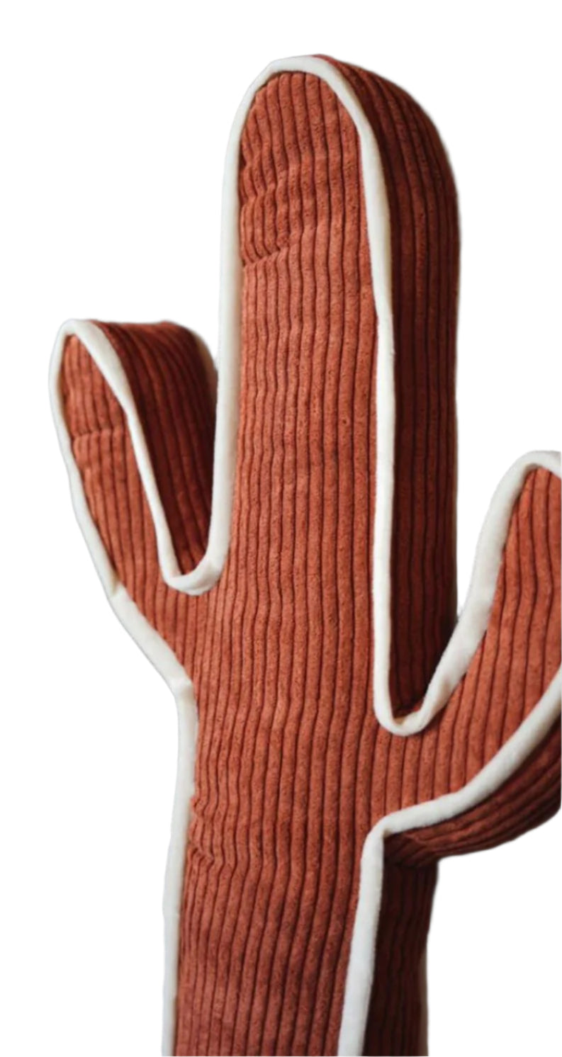 2 FLY CO. KICK A CACTUS PILLOW in MIDNIGHT, RUST or DENIM
