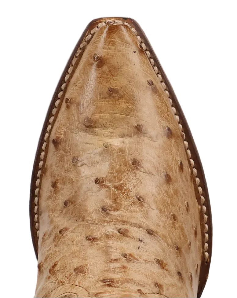 DAN POST MARAVILLA FULL QUILL OSTRICH 16" LADIES' BOOT in TAN