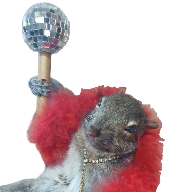SCARLETT THE POLE DANCING SQUIRREL