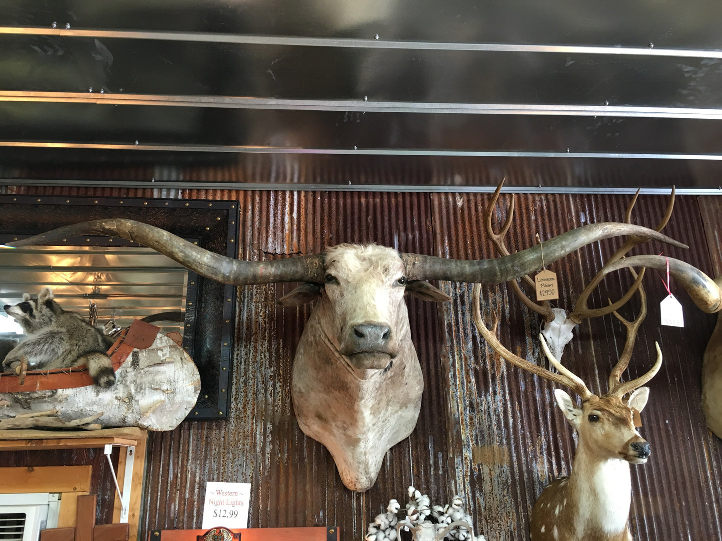 *SOLD* Longhorn Mount NGCM