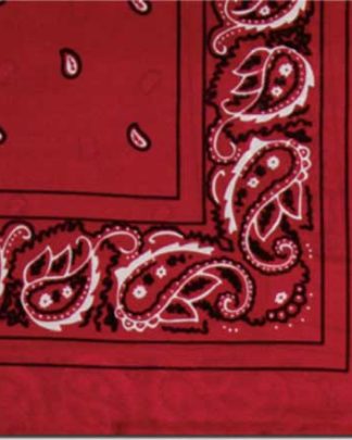 WYOMING TRADERS 20" SILK BANDANA SCARF in RED
