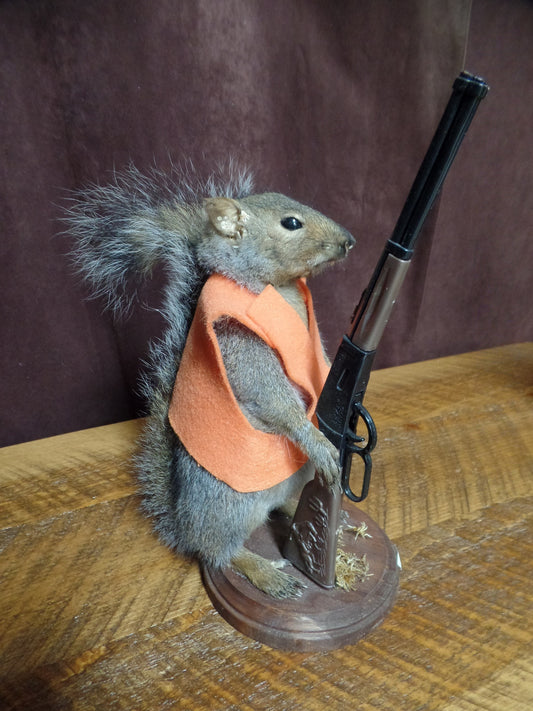Hunting Squirrel Mount