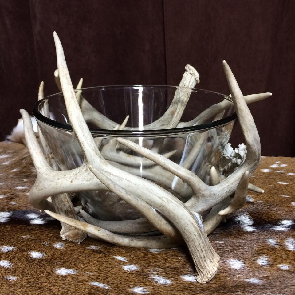 Whitetail Antler Bowl