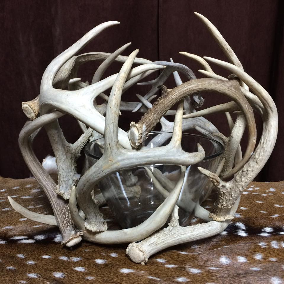 Whitetail Antler Bowl