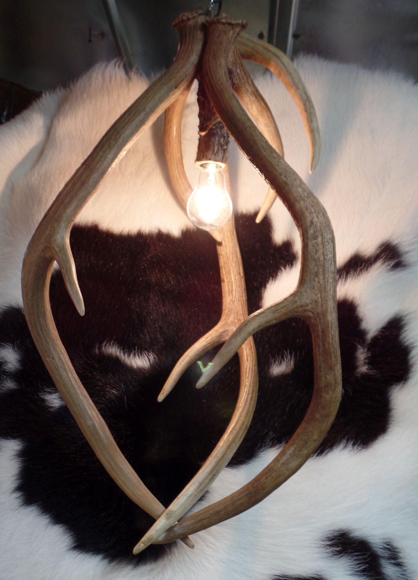 Axis Antler Pendant Lights