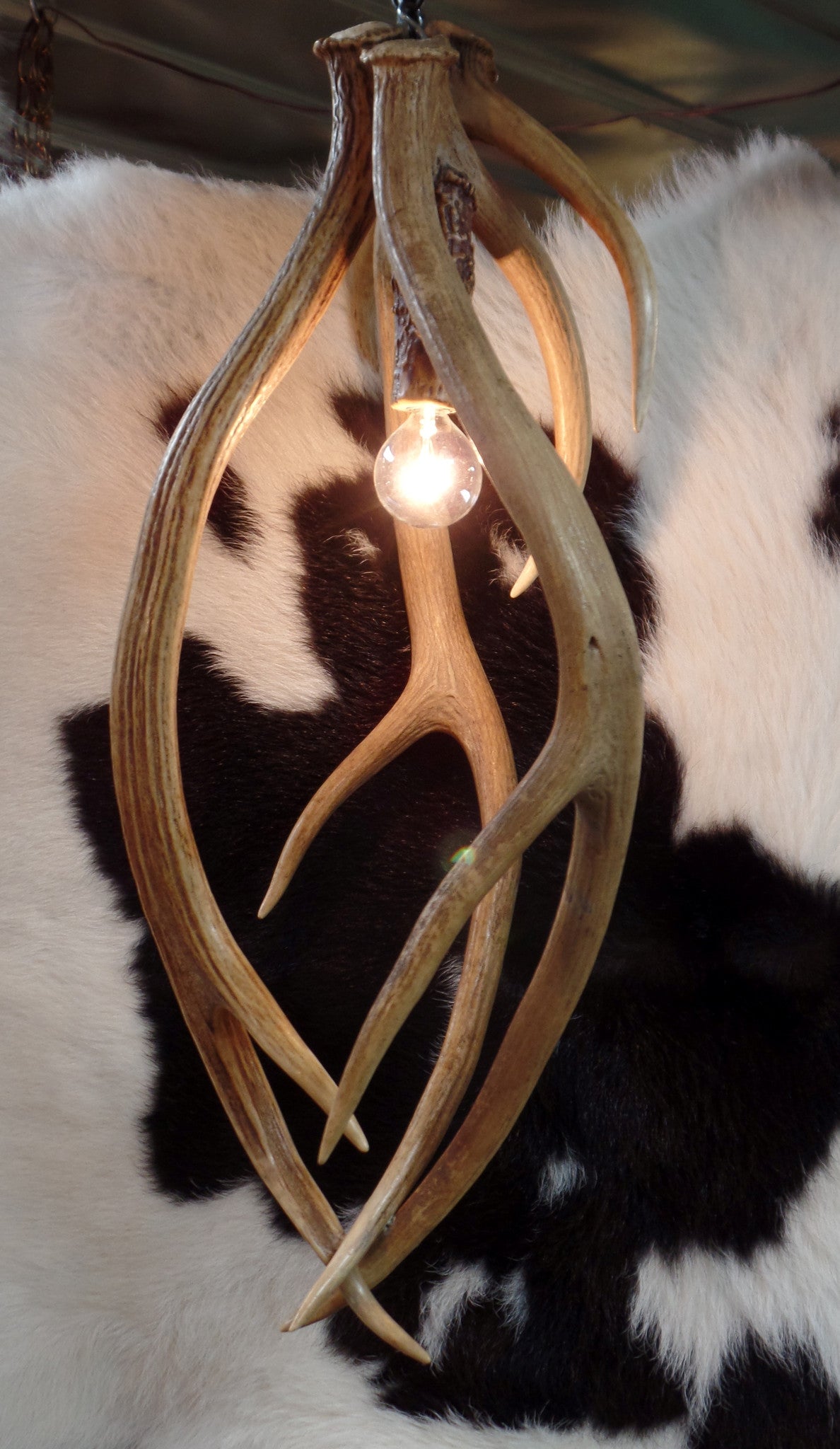 Axis Antler Pendant Lights