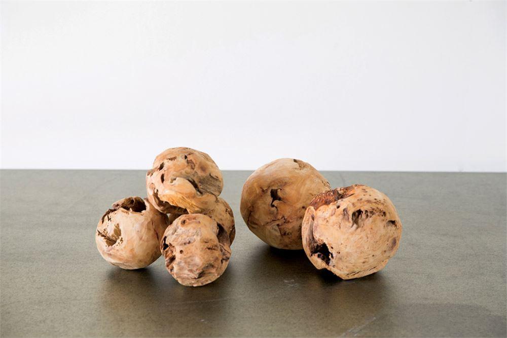 6" ROUND FIR ROOT ORBS