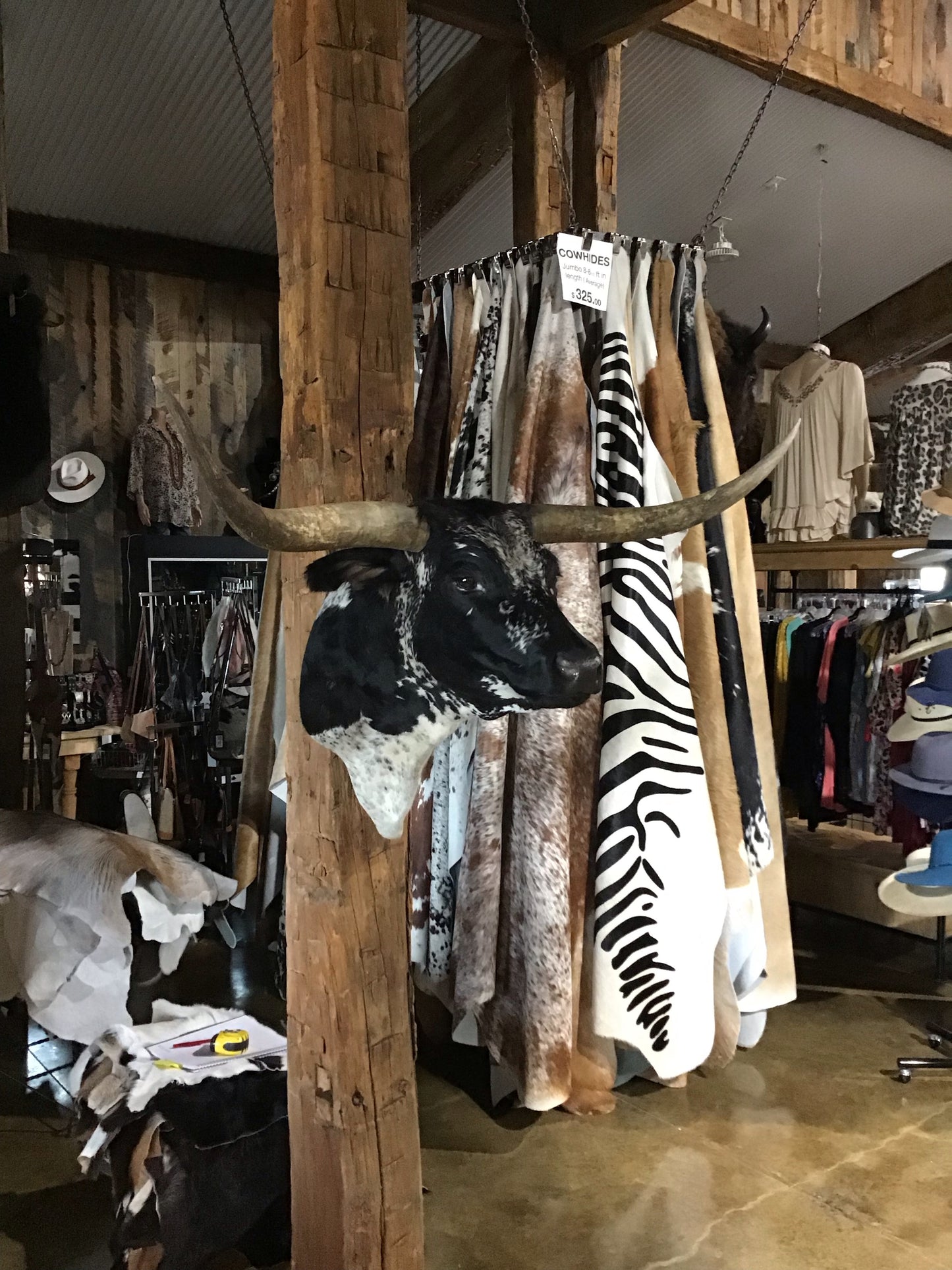 BLACK AND WHITE LONGHORN MOUNT*SOLD*