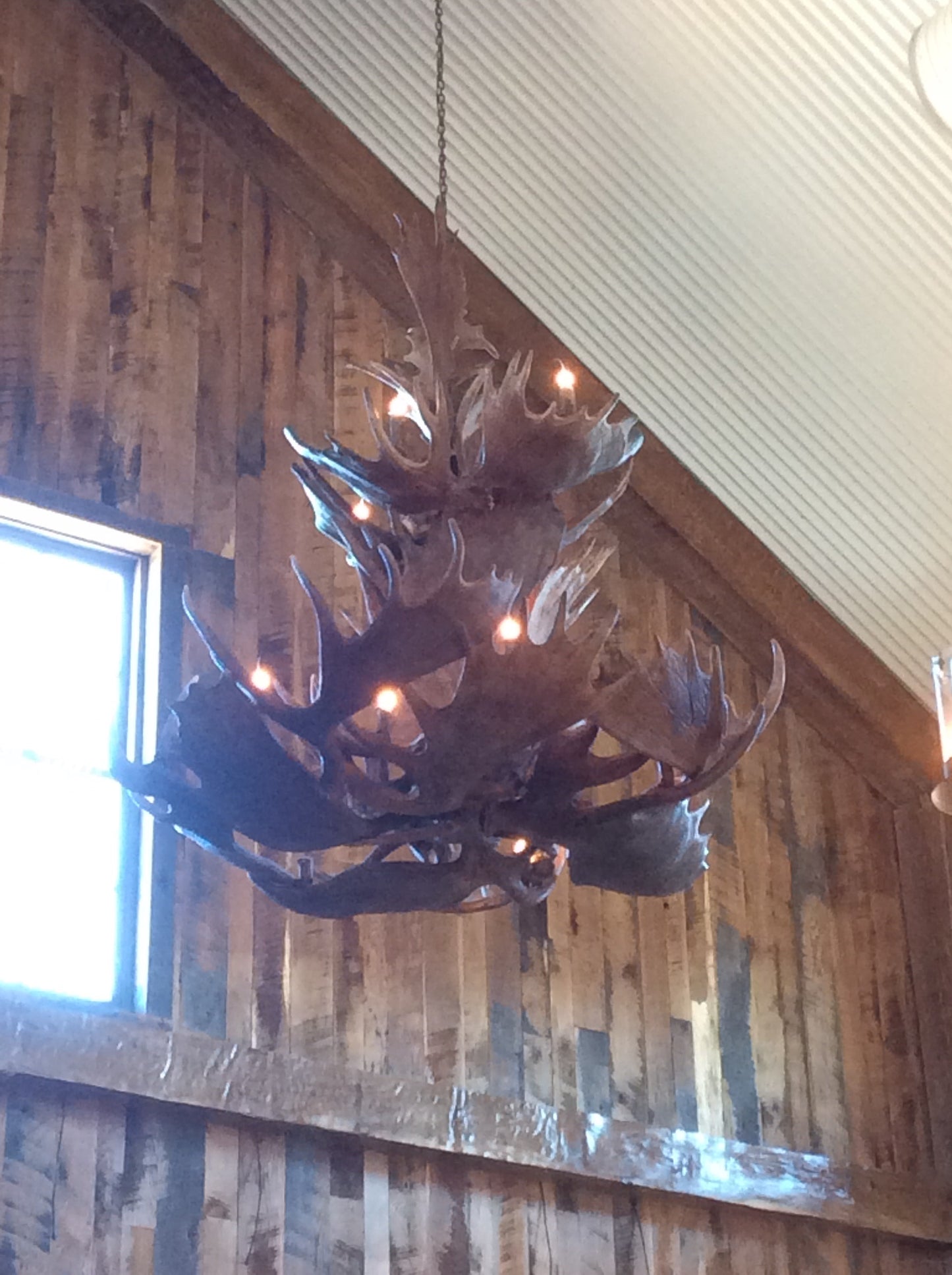Moose Chandelier