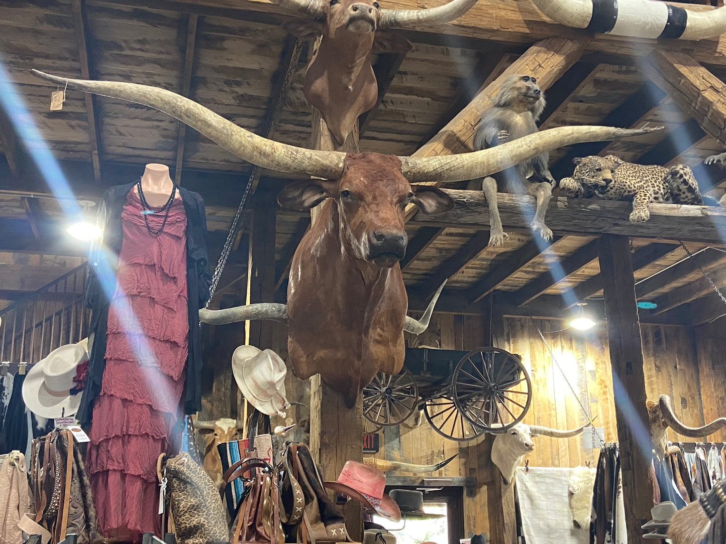 * sold* RED LONGHORN MOUNT