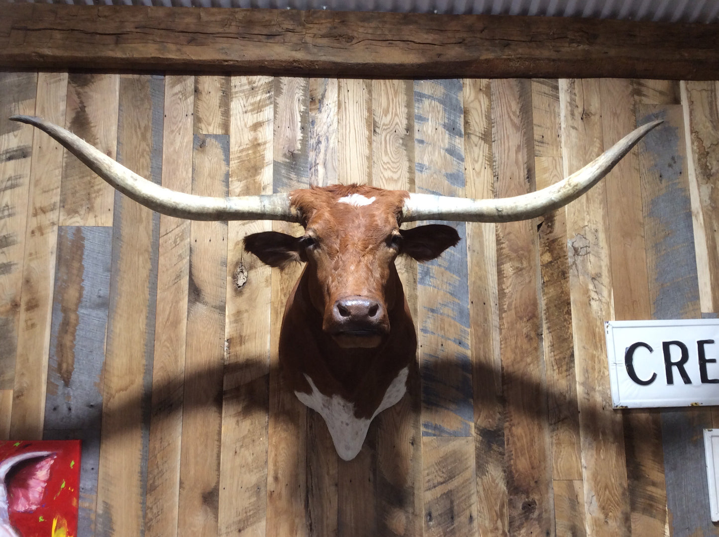 SOLD Longhorn Mount