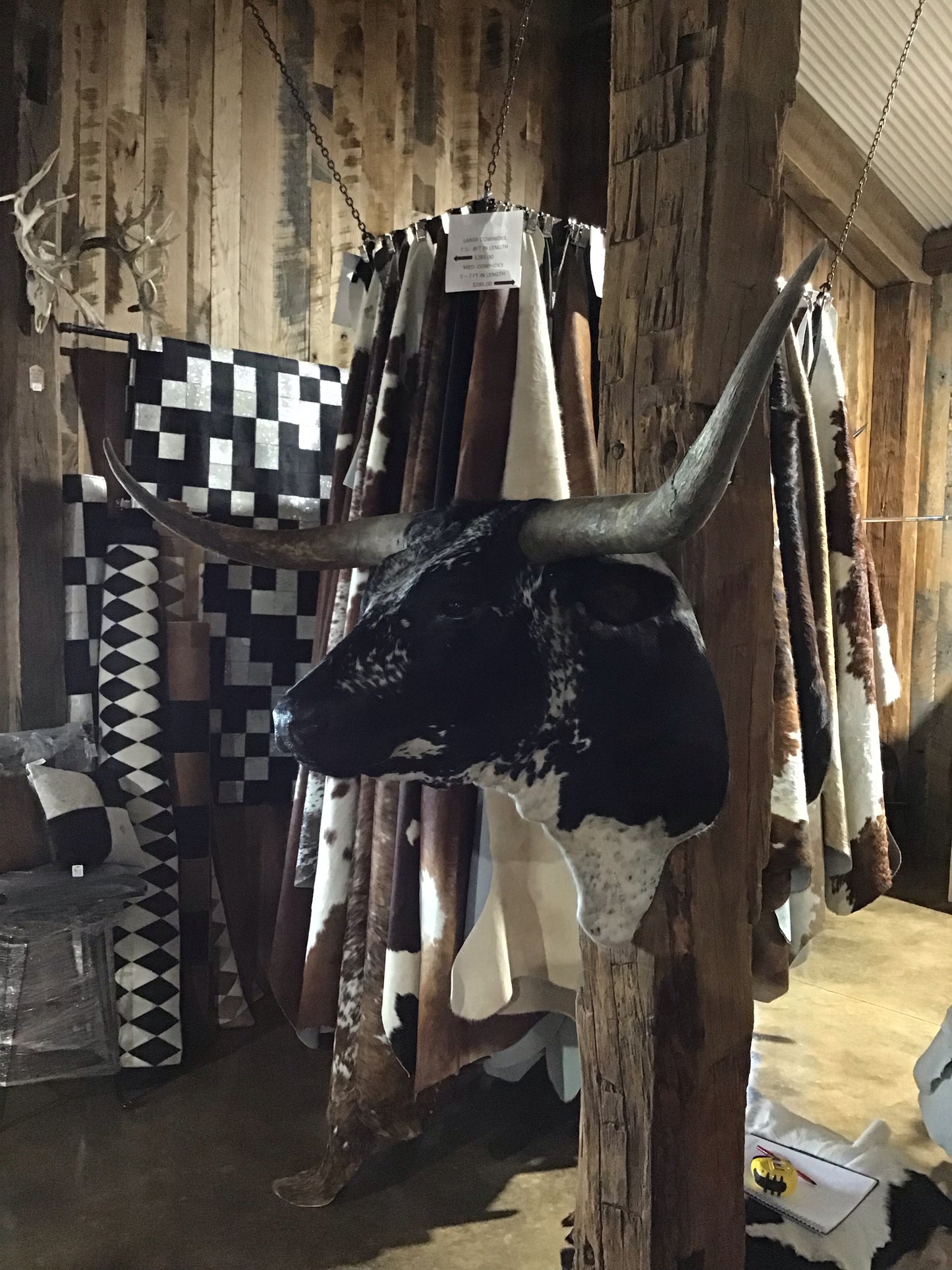 BLACK AND WHITE LONGHORN MOUNT*SOLD*