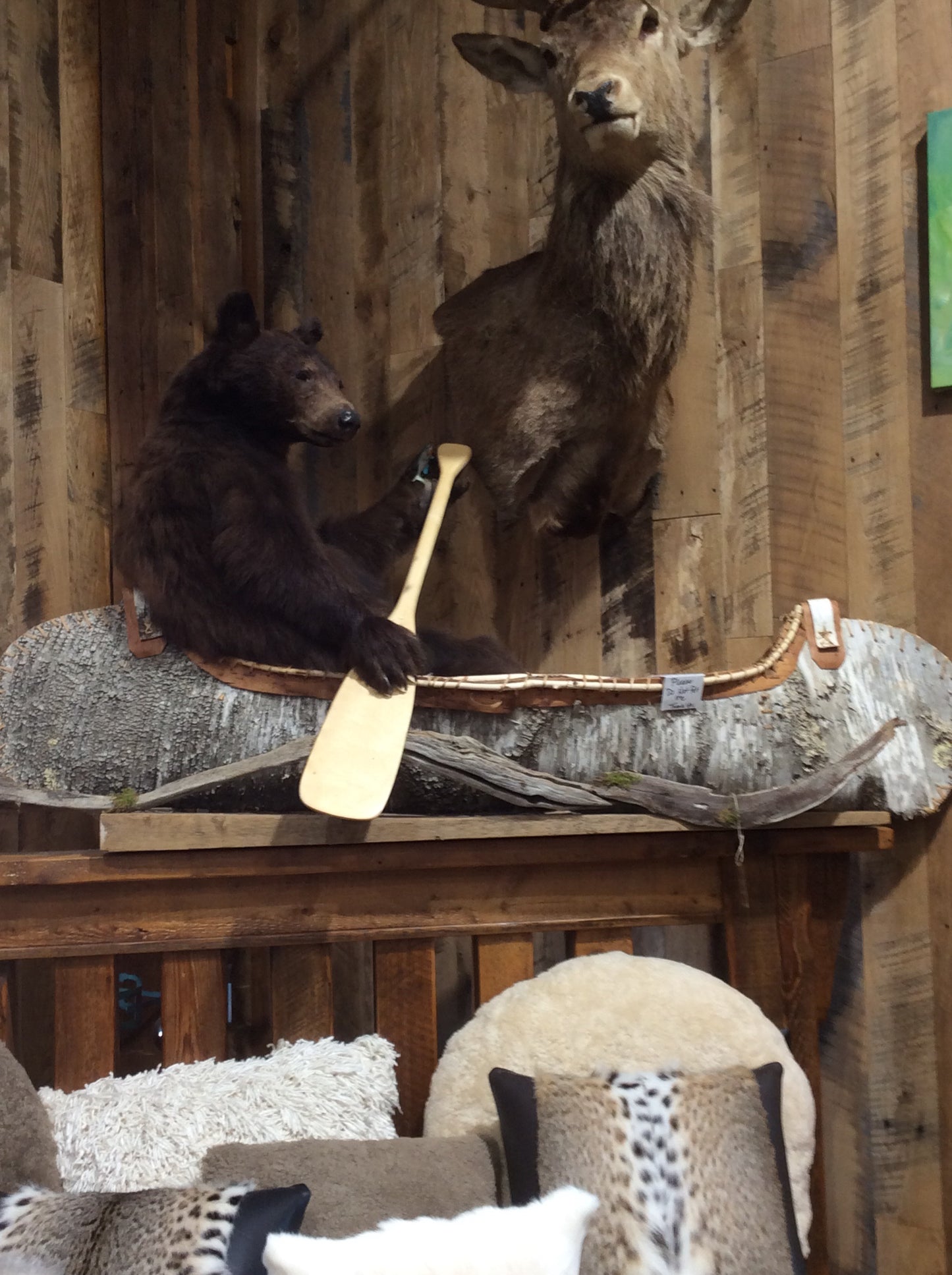 Black Bear in a Canoe