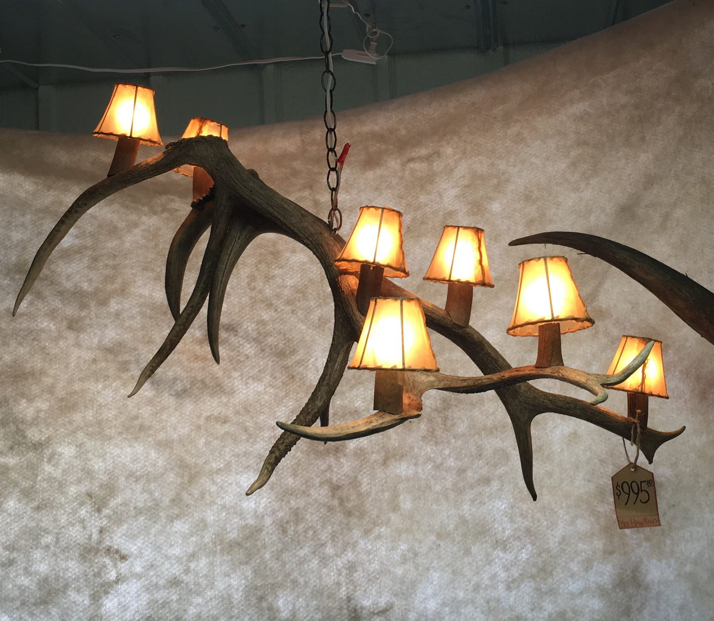Oblong Elk Anlter 7 Light Chandelier