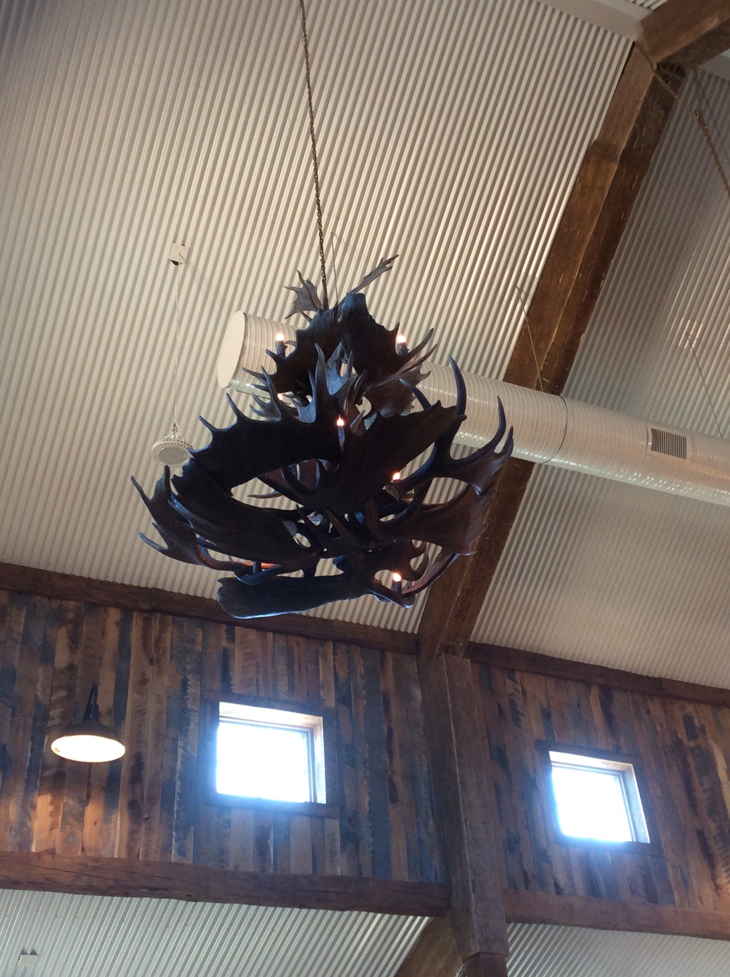 Moose Chandelier