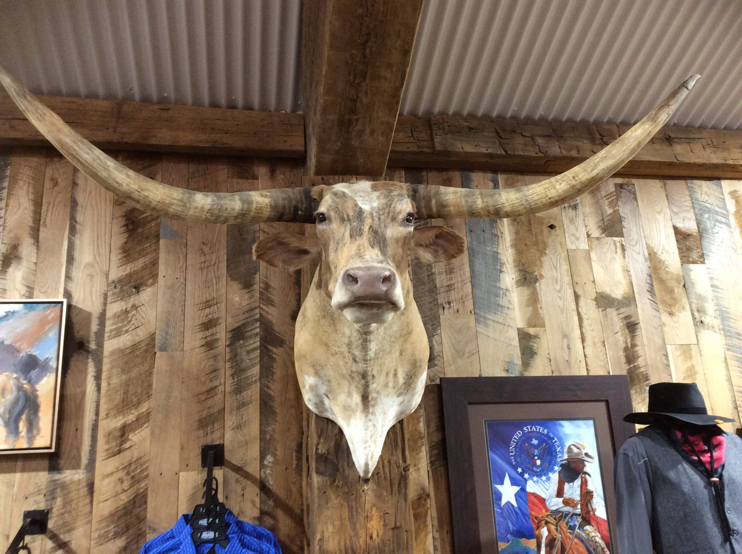 *SOLD* Longhorn Mount