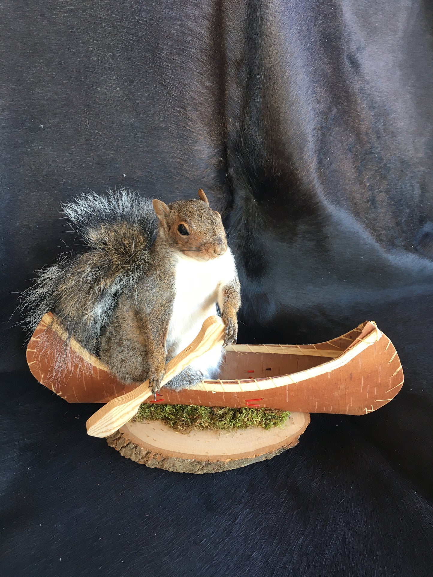 Squirrel In A Canoe Mount
