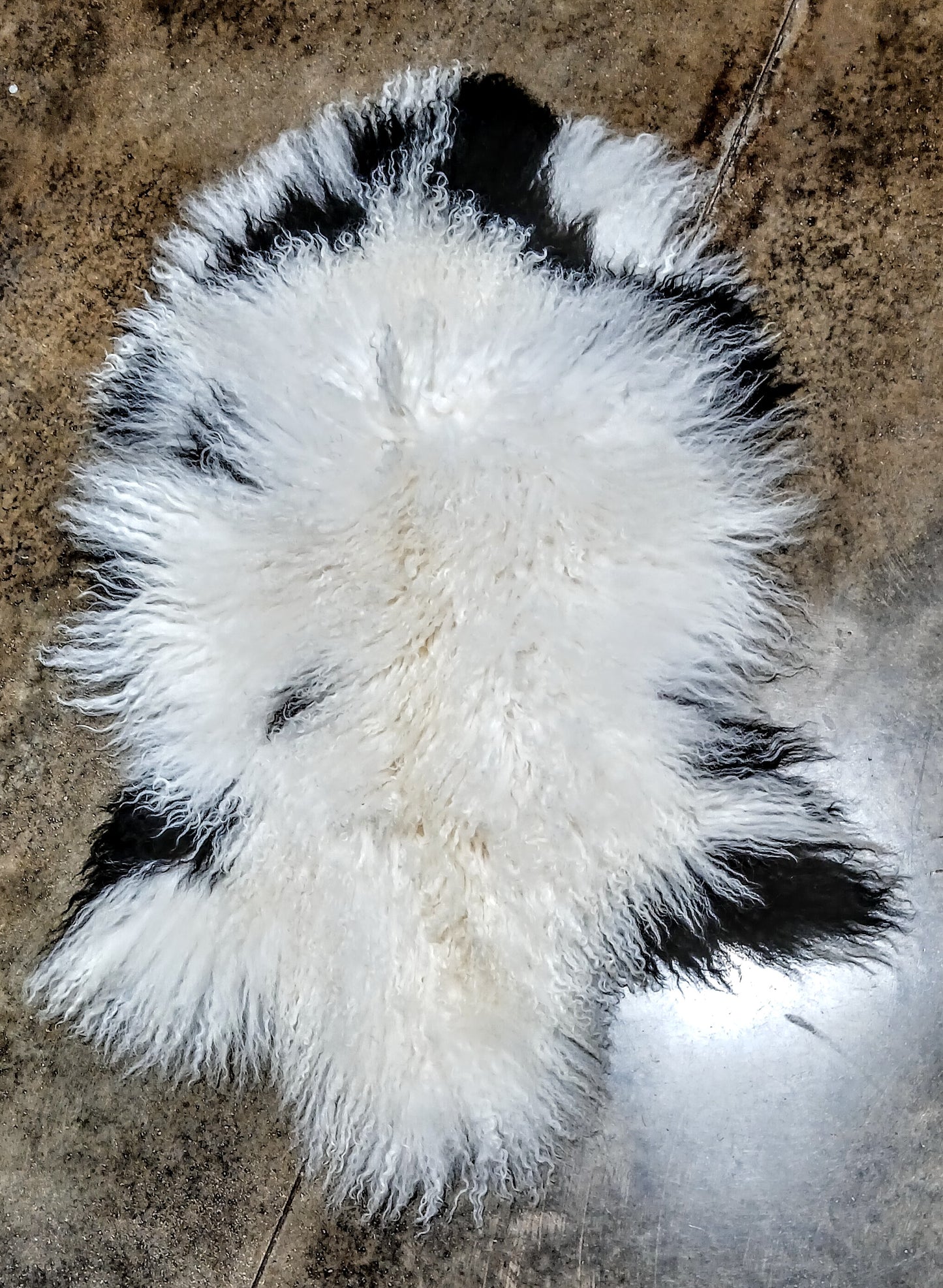 PREMIUM TIBETAN SHEEPSKIN PELT - WHITE/BLACK