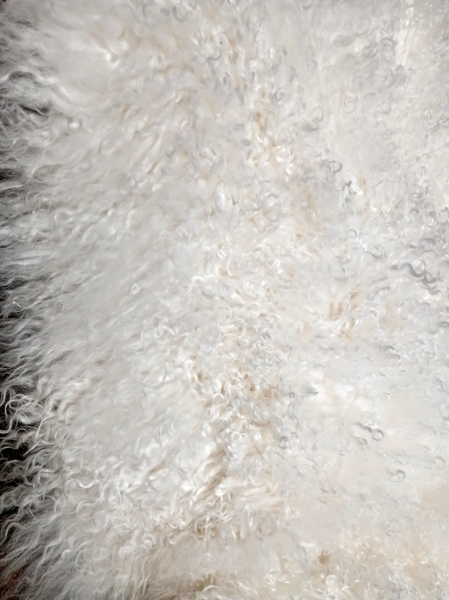 TIBETAN SHEEP THROW - WHITE