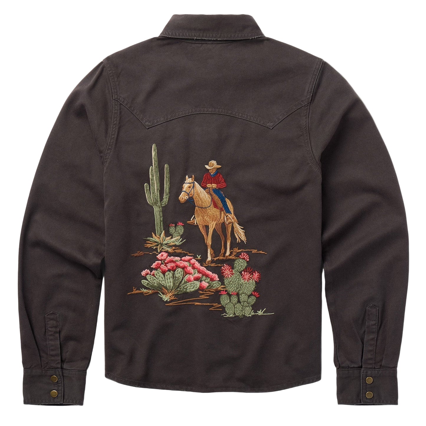 STETSON WOMEN'S DESERT SCENE EMBROIDERED SHIRT in BROWN DENIM