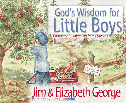 GOD'S WISDOM FOR LITTLE BOYS, A FAITH BASED BOOK