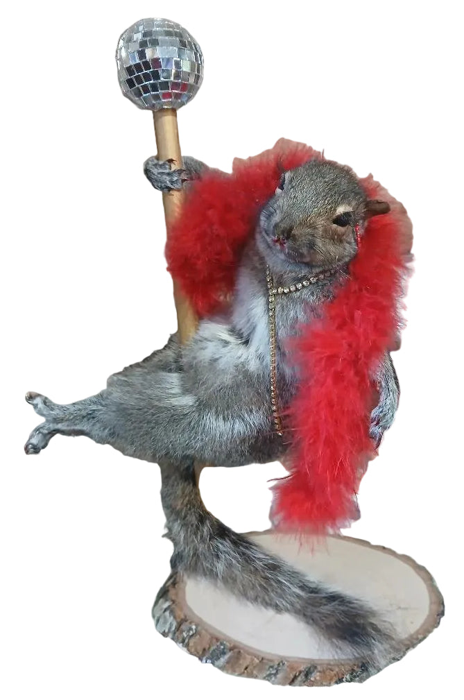 SCARLETT THE POLE DANCING SQUIRREL