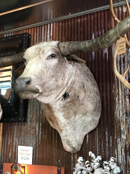 *SOLD* Longhorn Mount NGCM