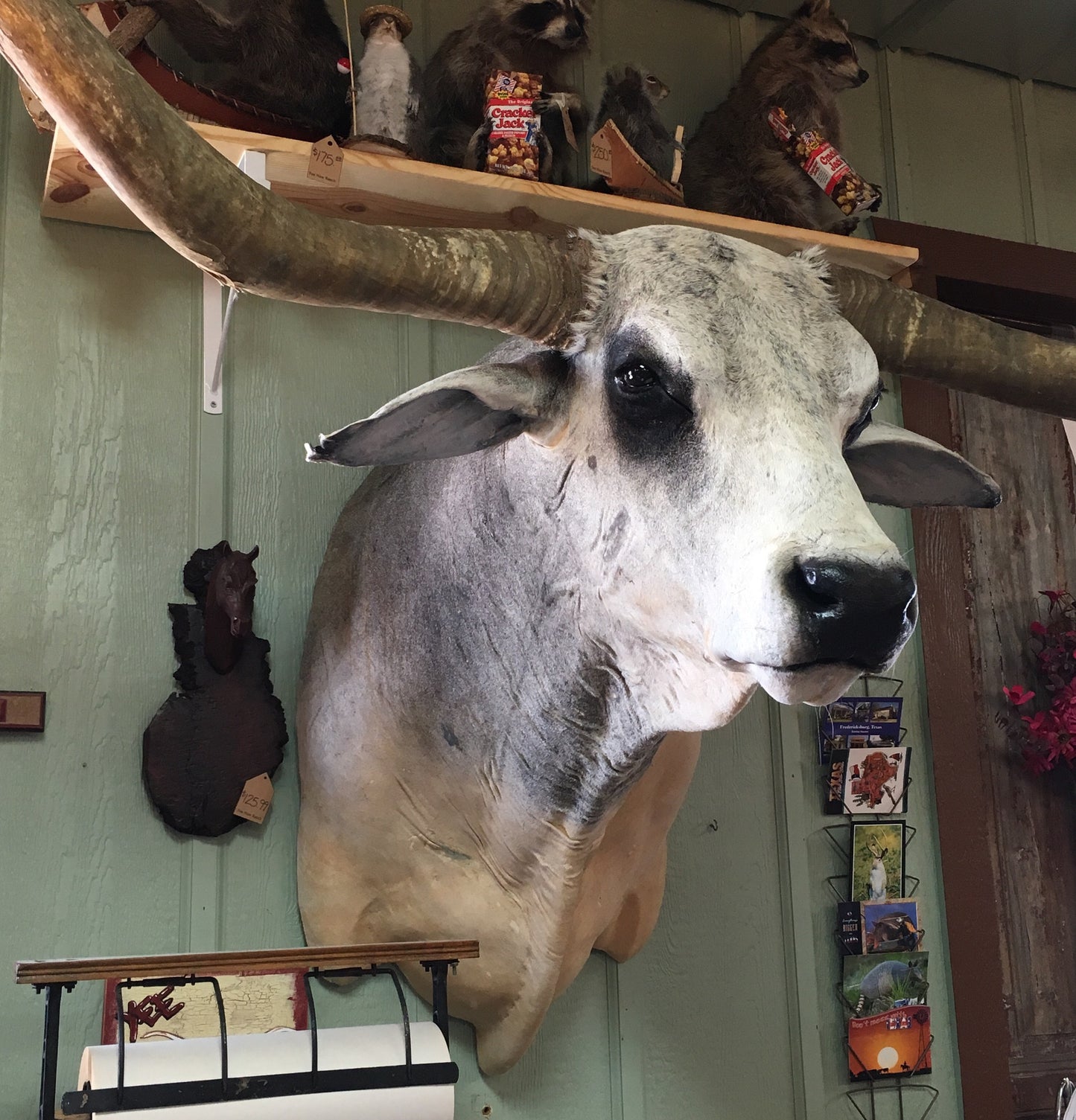 *SOLD* Longhorn Mount NBRAM