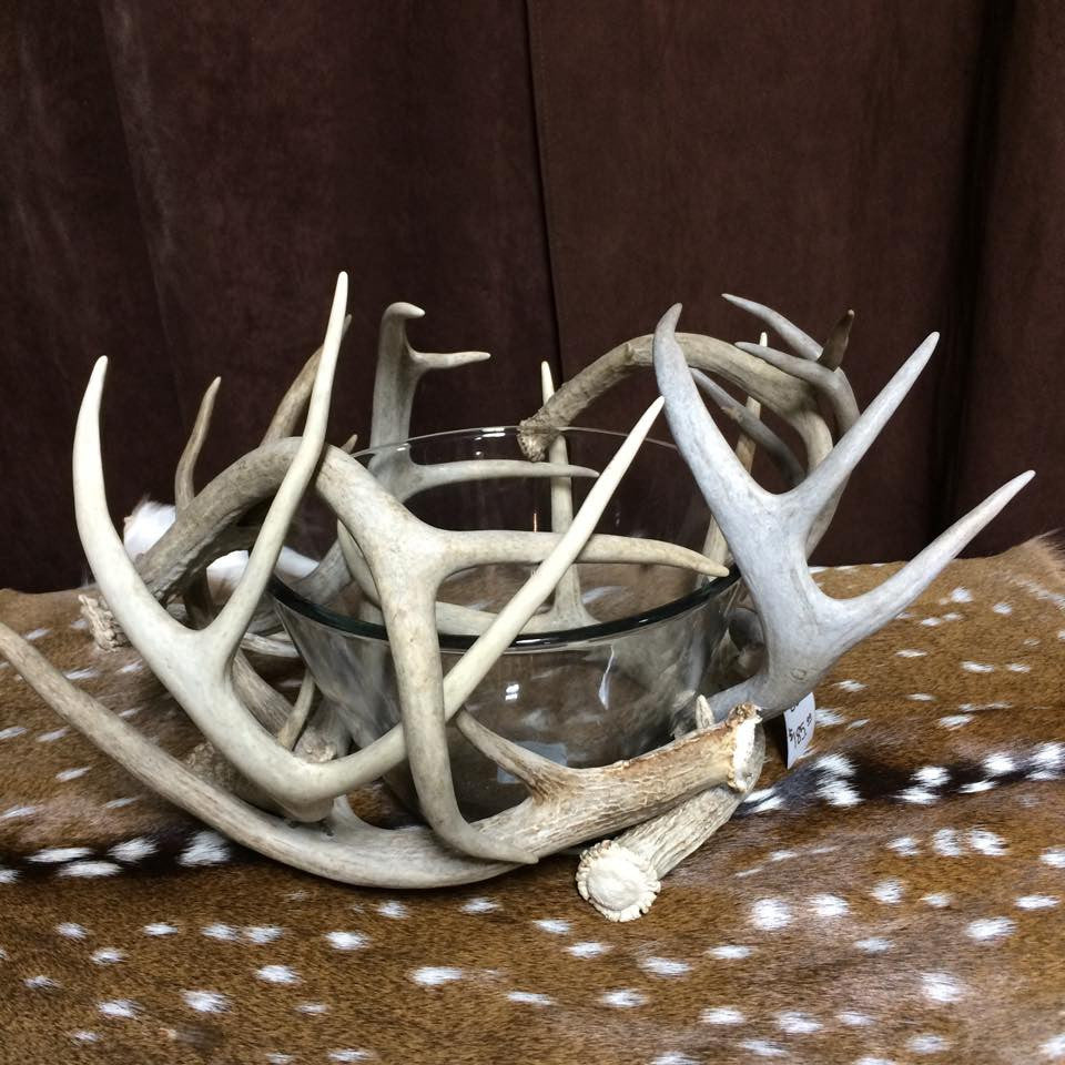 Whitetail Antler Bowl