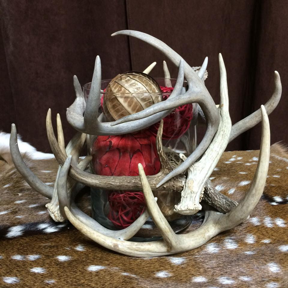 Whitetail Antler Vase