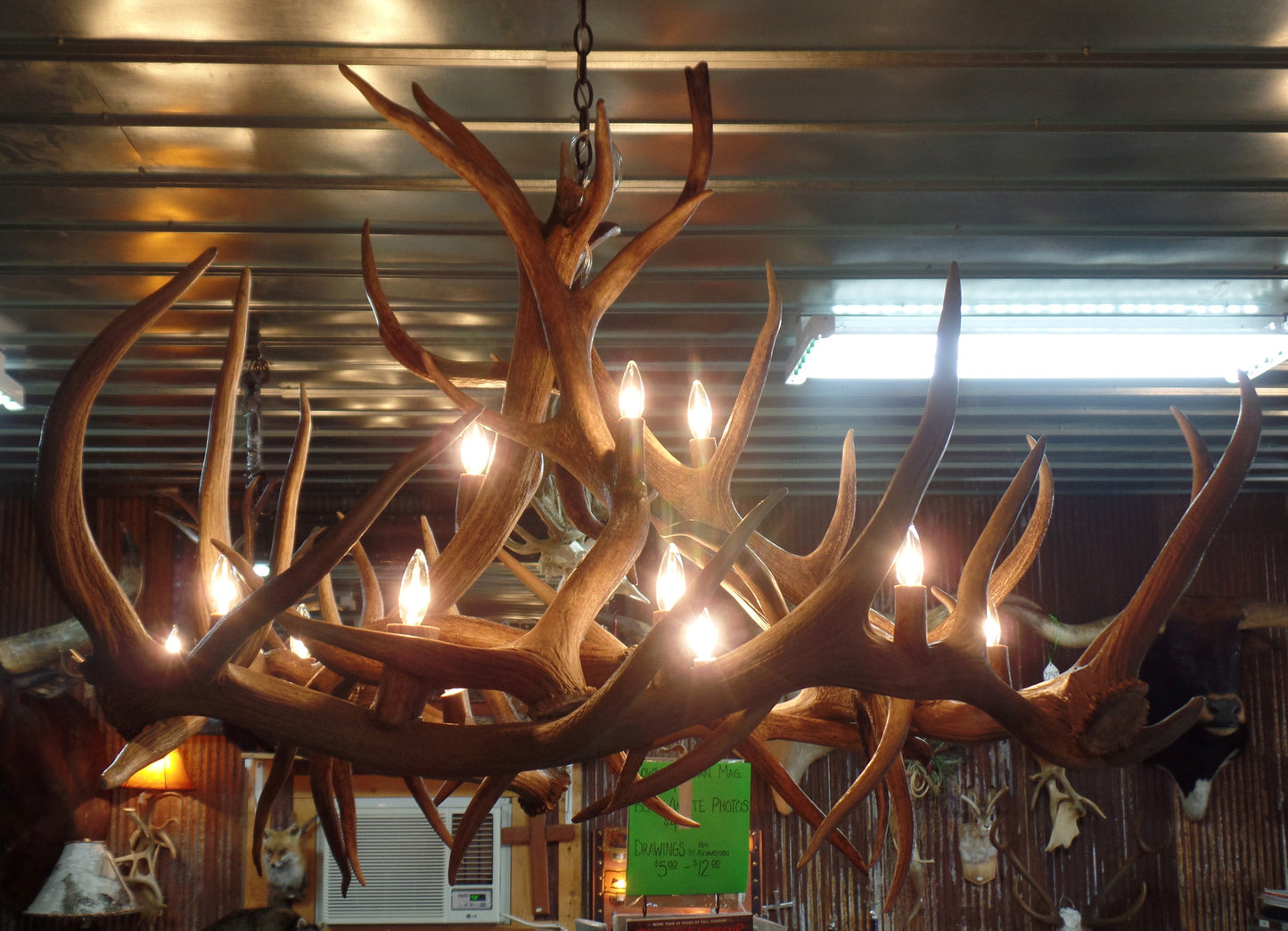 Elk Anlter 12 Light Chandelier