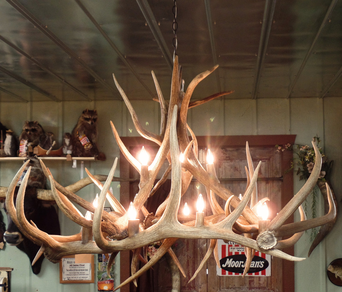 Elk Anlter 12 Light Chandelier