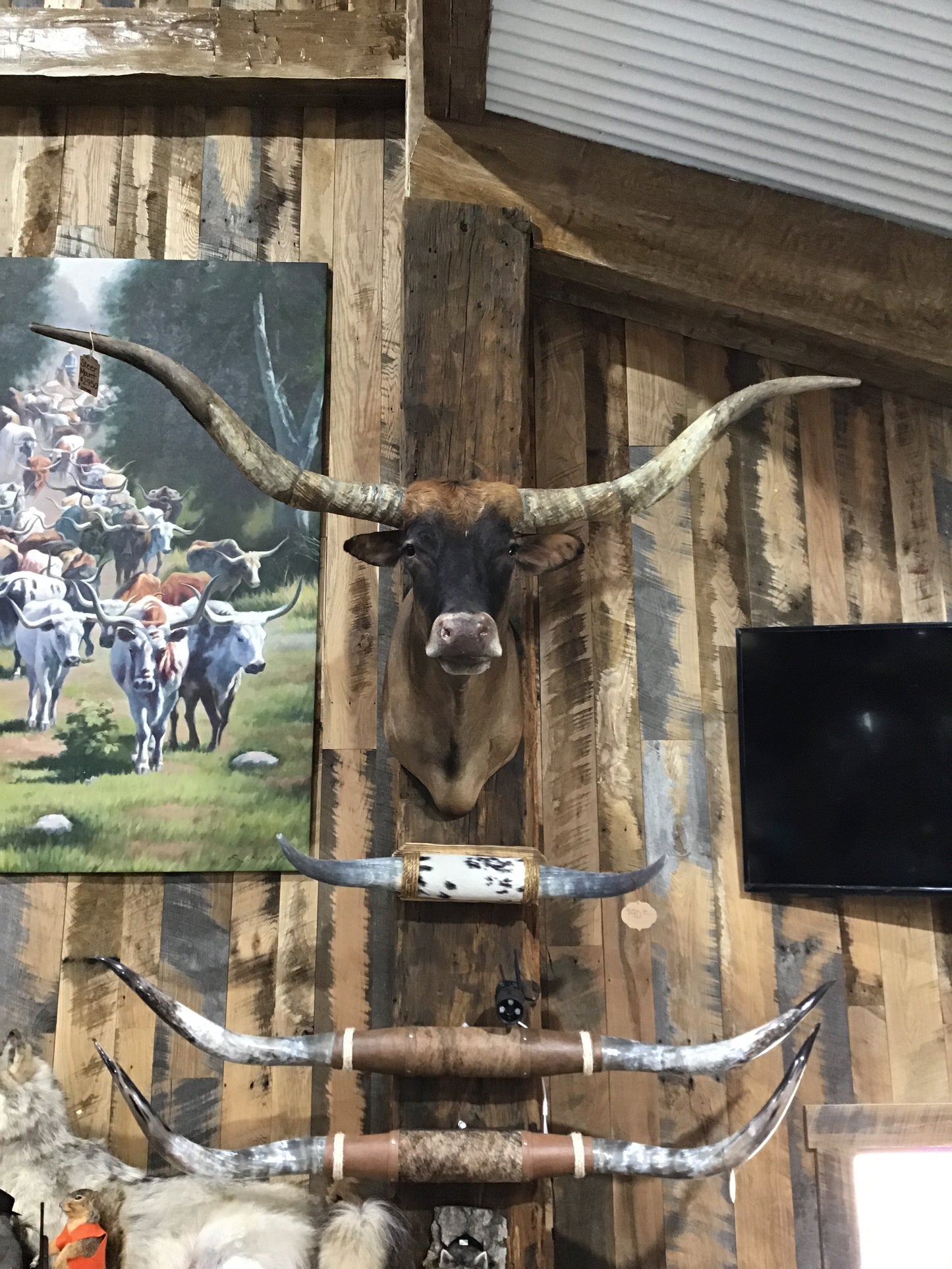 *SOLD* BROWN LONGHORN WITH ORANGE TOP