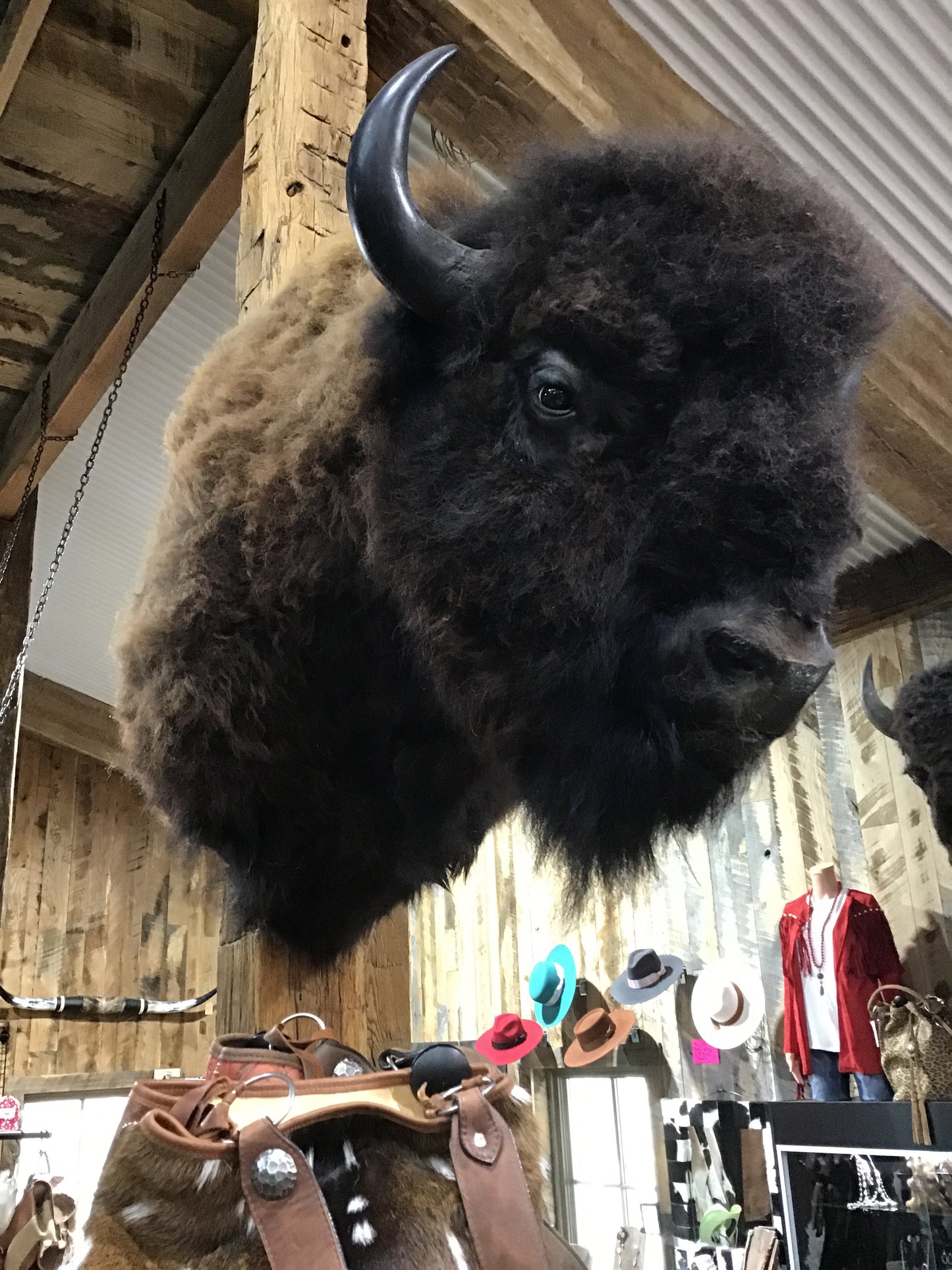 Bison Mount Herd Bull *SOLD OUT*