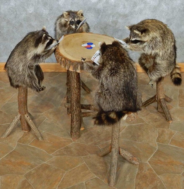 Poker Playing Raccoons