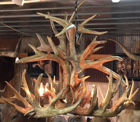 Whitetail Antler 5 Light Chandelier