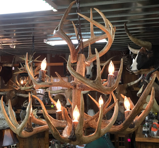 Whitetail Antler 8 Light Chandelier