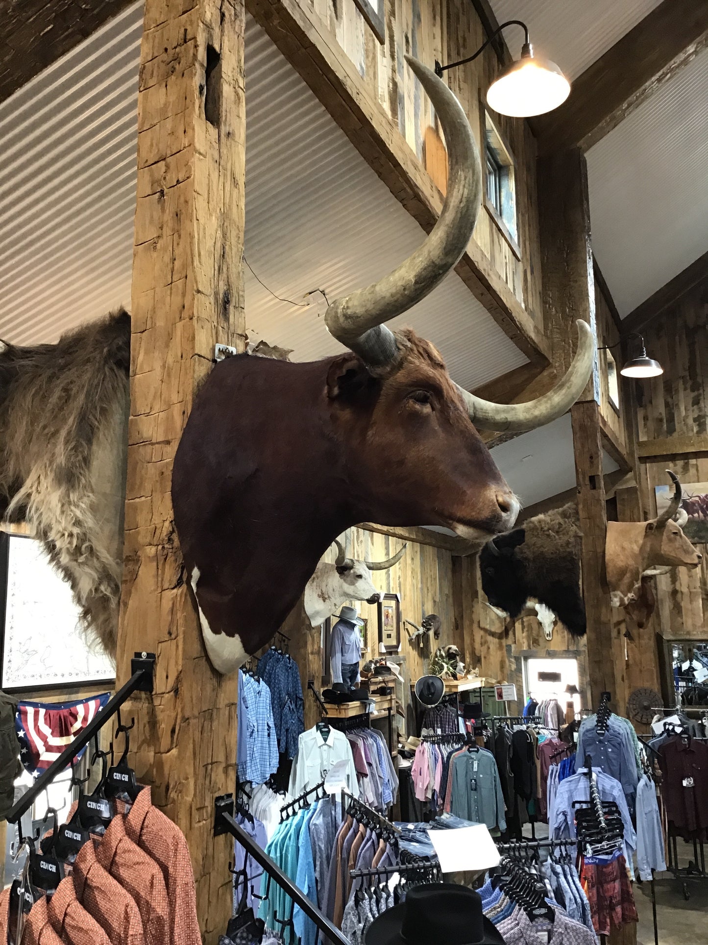 *SOLD* RED LONGHORN MOUNT NON-REMOVABLE HORNS