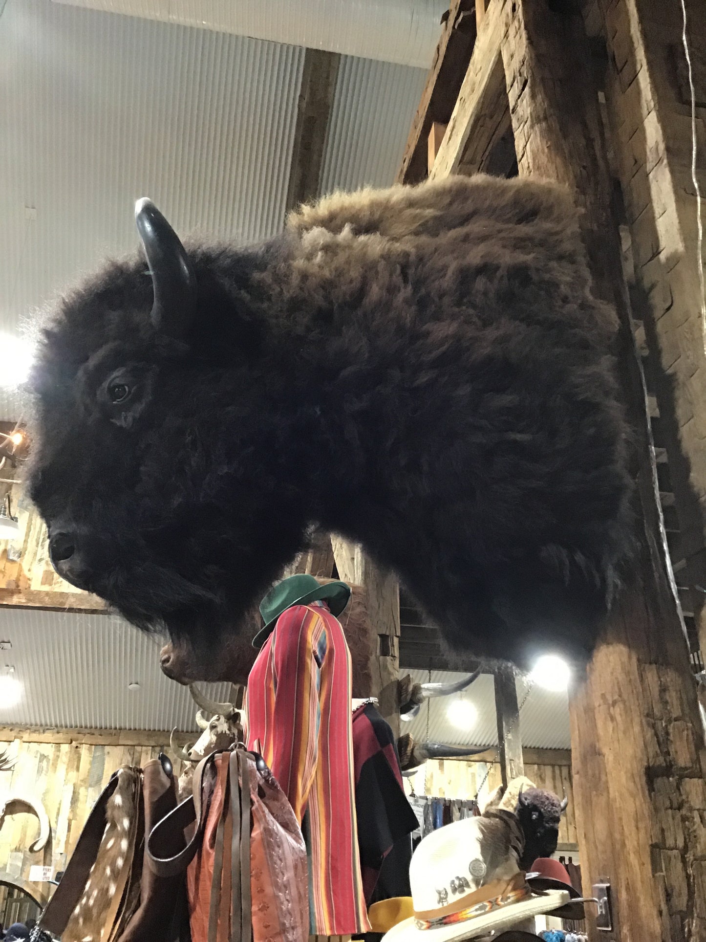 Bison Mount Herd Bull *SOLD OUT*