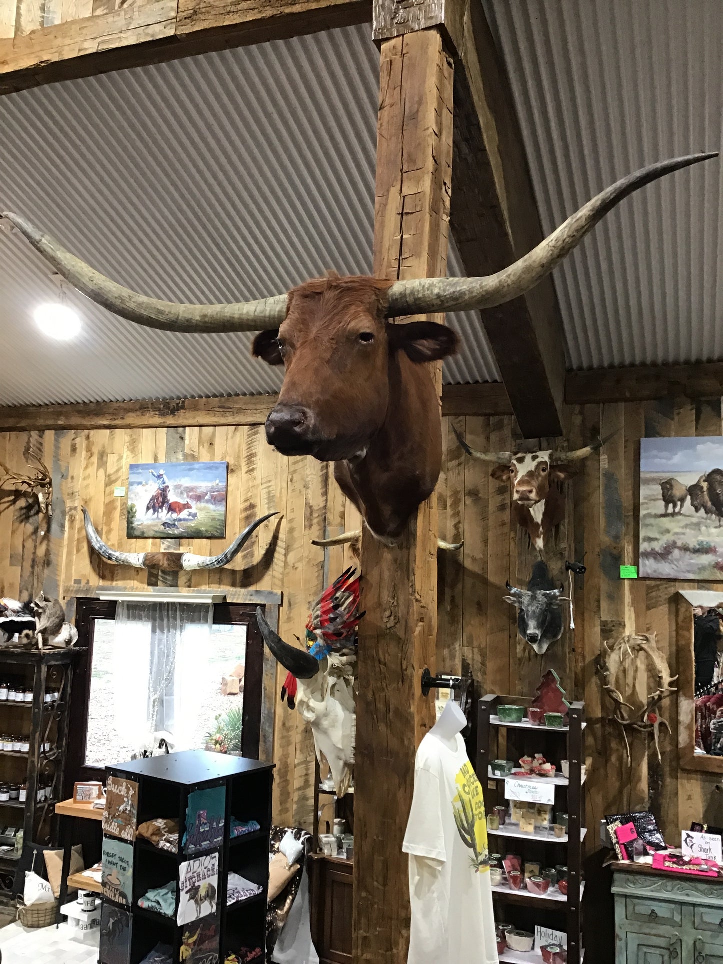*SOLD*RED LONGHORN MOUNT