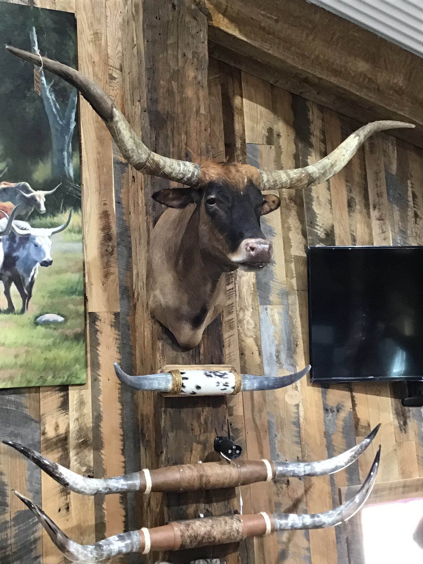 *SOLD* BROWN LONGHORN WITH ORANGE TOP
