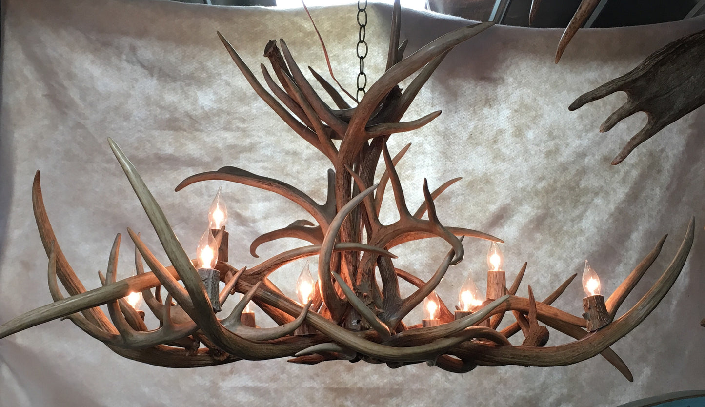 Axis & Whitetail Antler 10 Light Chandelier