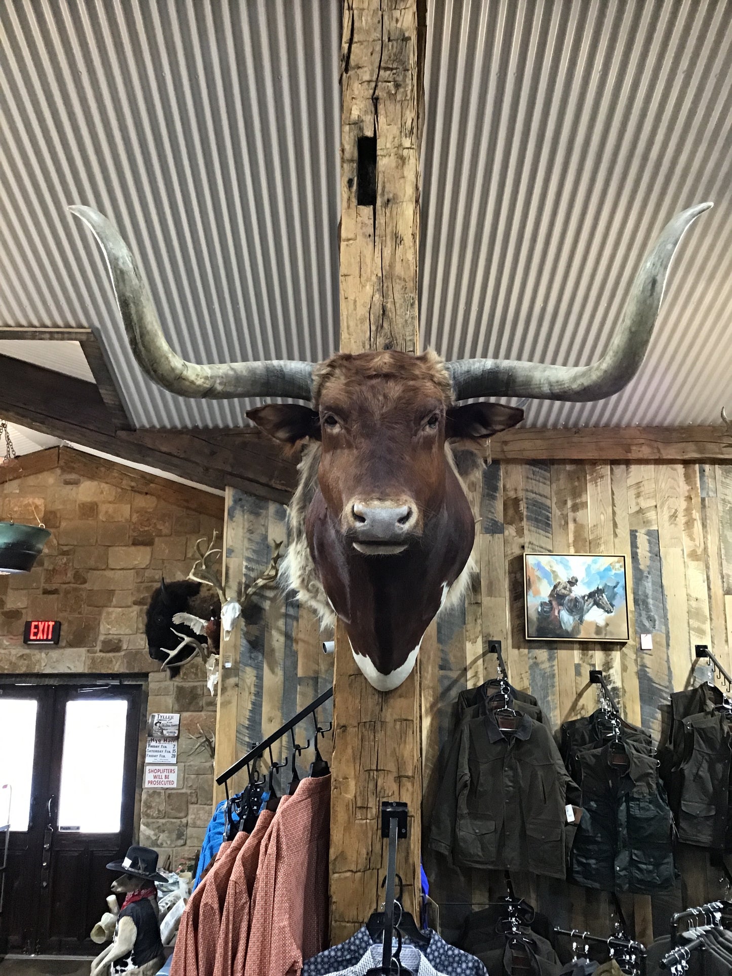 *SOLD* RED LONGHORN MOUNT NON-REMOVABLE HORNS