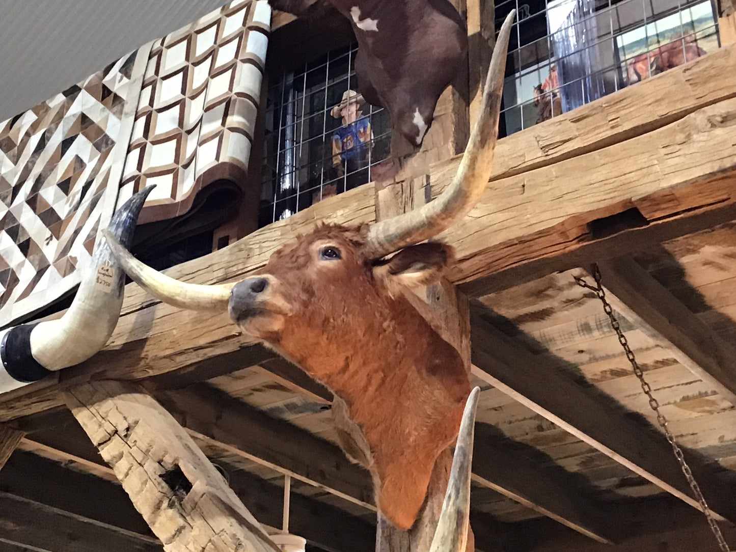 *SOLD* RED LONGHORN MOUNT