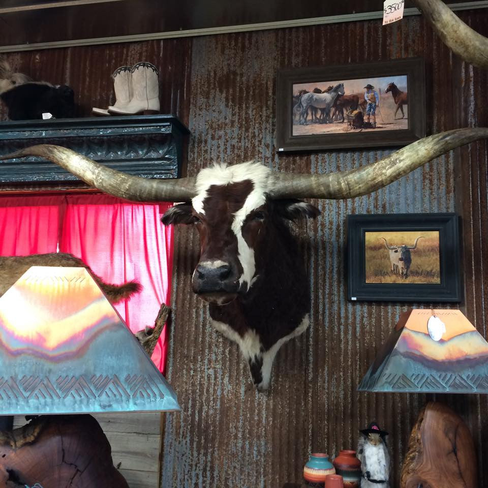 *SOLD* Longhorn Mount