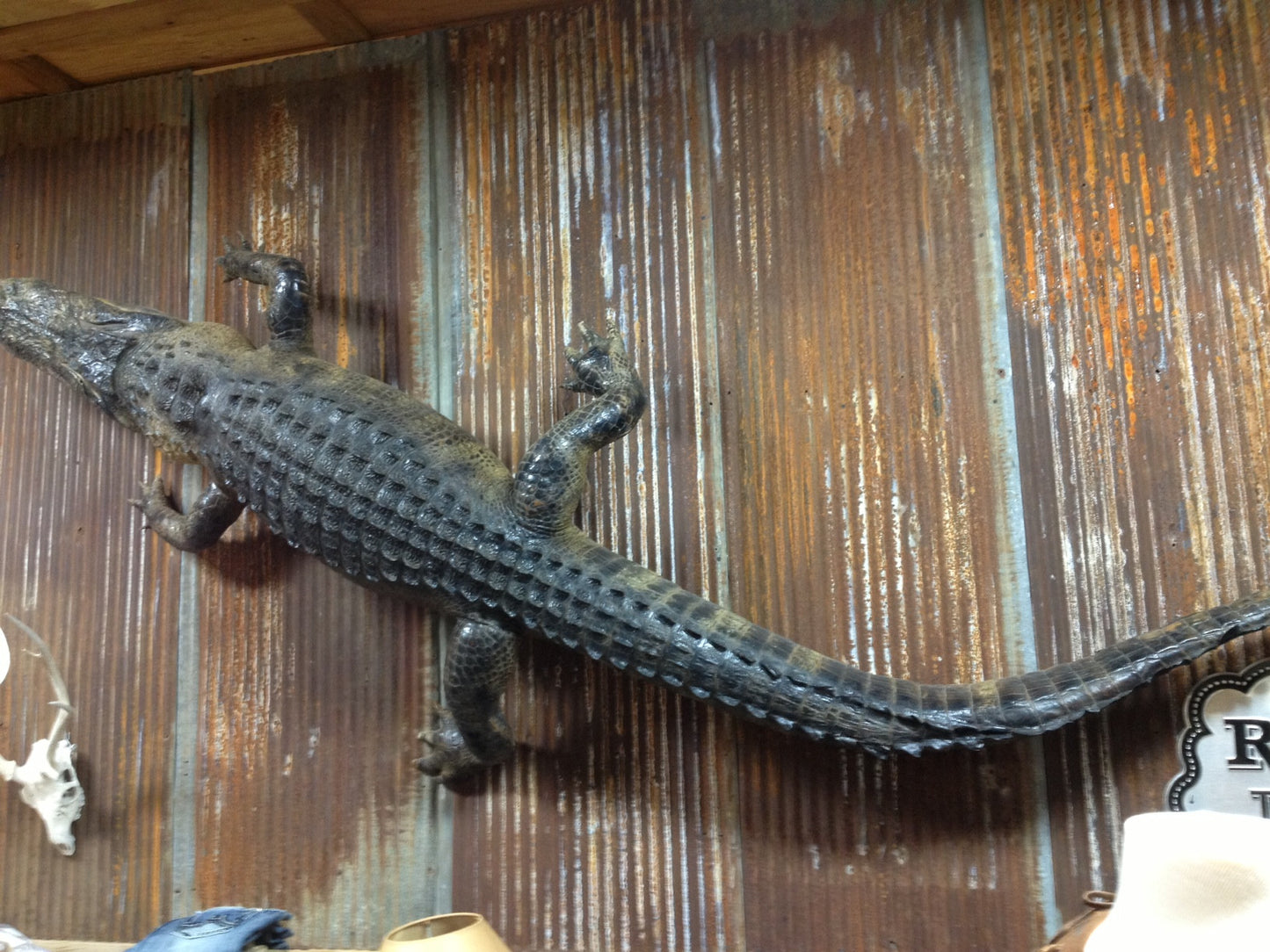 12 Ft Alligator Mount