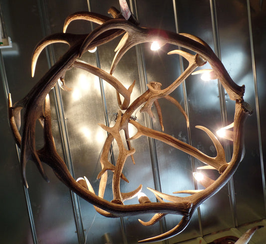 Red Stagg, Axis & Sika Antler 8 Light Chandelier