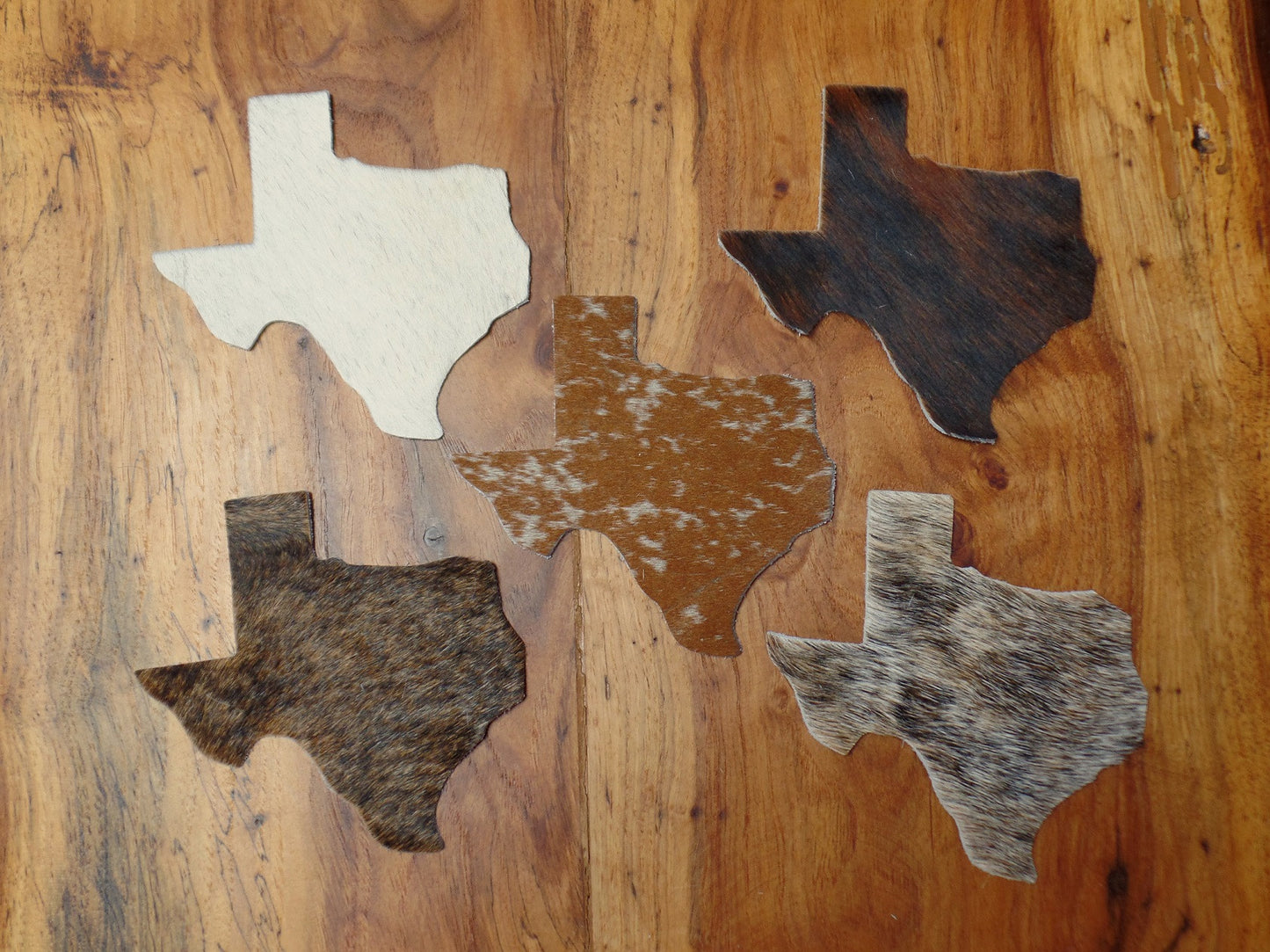 Texas Shaped Cowhide Coasters