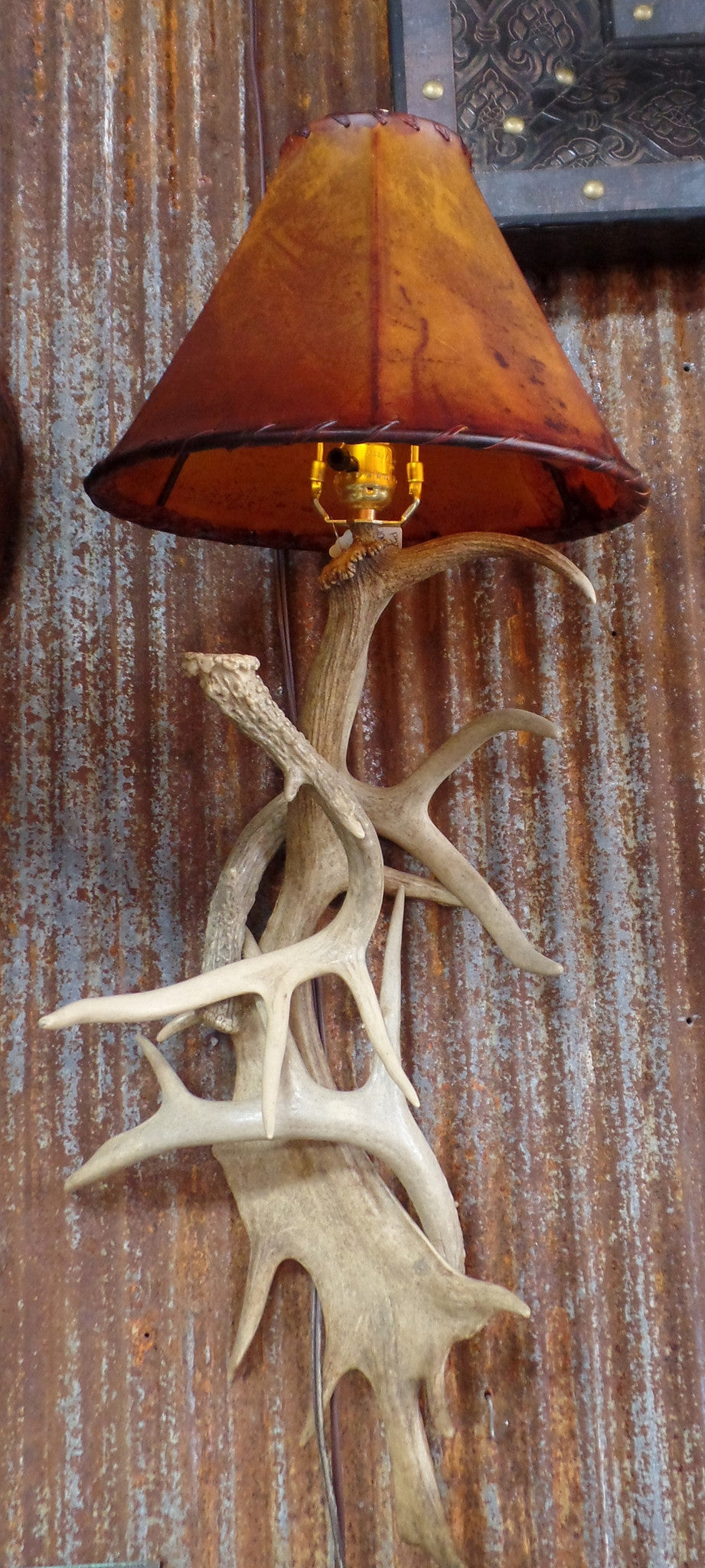 Fallow and Whitetail Antler Sconce